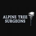 Alpine Tree Surgeons Guildford