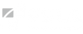 Tesla Outsourcing Services