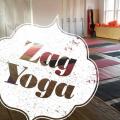 Zagyoga Iyengar Yoga Studio