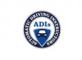 Automatic Driving Instructors